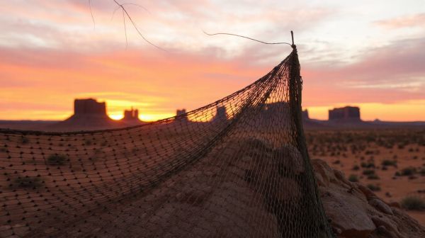 Top 5 Desert Camo Netting Options for Every Requirement