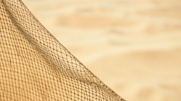 Top 5 Desert Camo Netting Options for Every Requirement
